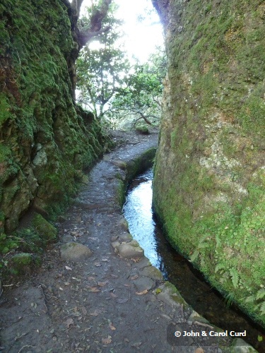 Madeira 008_Walk2.JPG